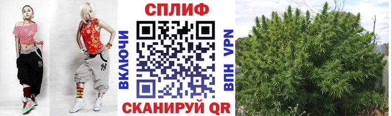 Купить наркотик Заринск ГАШ Cocaine СК Марихуана Меф мяу мяу