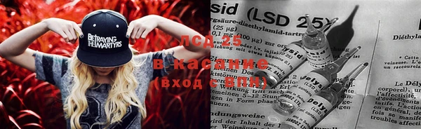 ECSTASY Балахна